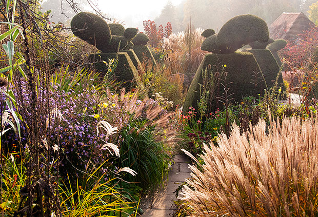 A_BELEZA_DOS_JARDINS_primeiro_lugar_Cores_de_outono_no_jardim_dos_pavoes_Carol_Casselden