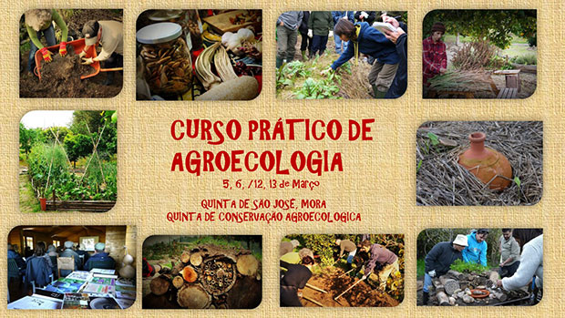 CURSO-DE-AGROECOLOGIA--2