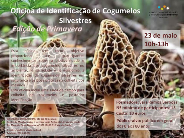 Cartaz_Oficina-de-Identificação-de-Cogumelos-Silvestres