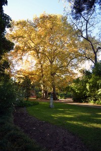 Parque_Monteiro_Mor-016