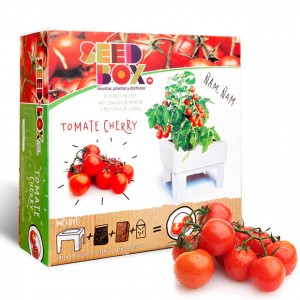 SB-Cultivame-Tomates-Cherry