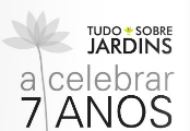 Sem Título