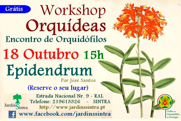 Workshop-19-Epidendrum
