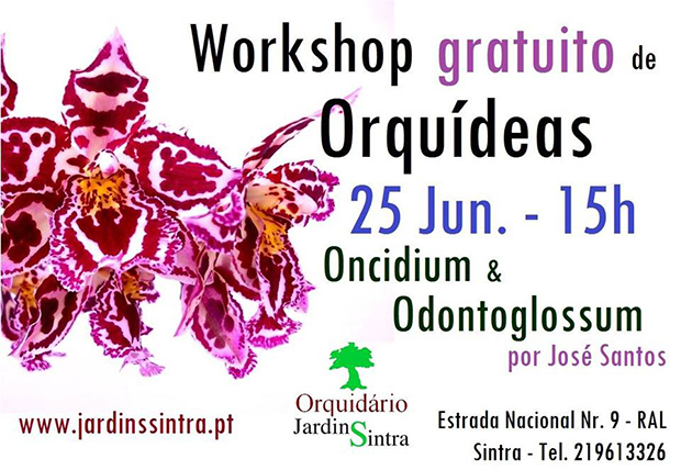 Workshop 25 Jun