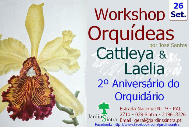 Workshop Catt Laelia