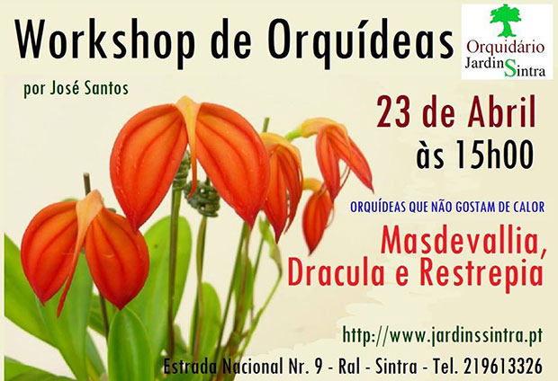 Workshop-Masdevallia-Drac-Restrepia-Jardins-Sintra