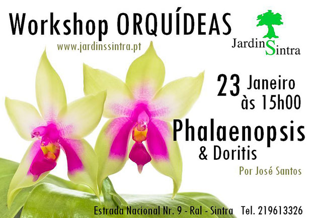 Workshop-Orquideas-Jan16