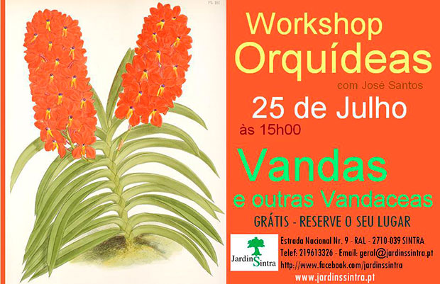 Workshop-Vandaceas-Jul2015