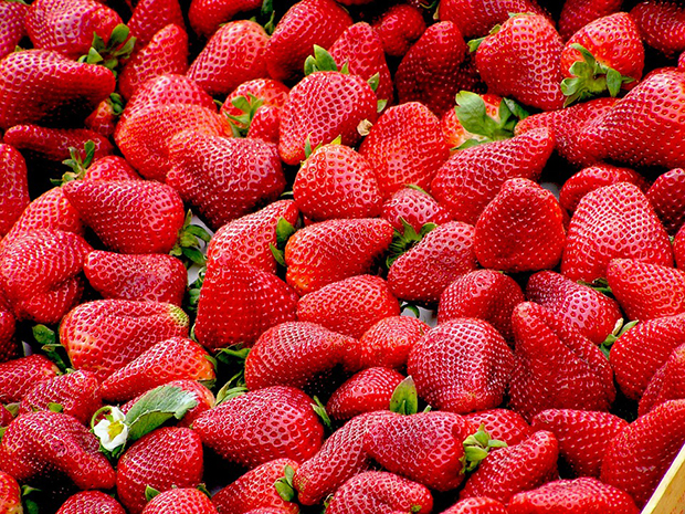 strawberries-99551_960_720